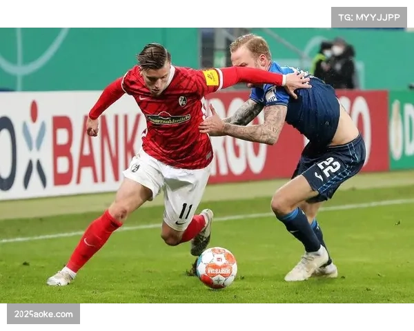 日本球员德国-旅团-再扩容：德甲16人+德乙9人总数达25人